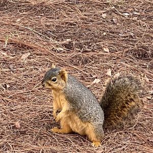 Meet your Posher, Jackie